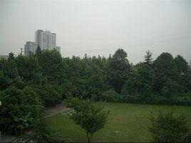 成都市金橋高級藝術國小 成都市金橋高級藝術國小