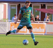 阿明&middot;阿法尼