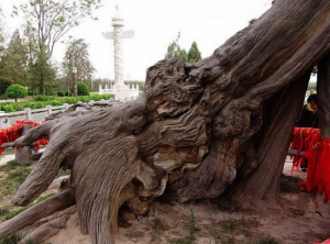 揮公陵舜帝宮 揮公陵舜帝宮