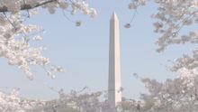 華盛頓紀念碑