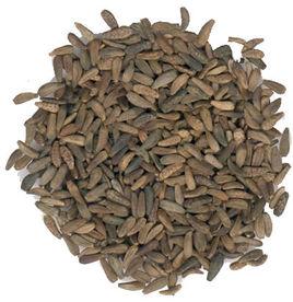 牛蒡子甙 牛蒡子甙