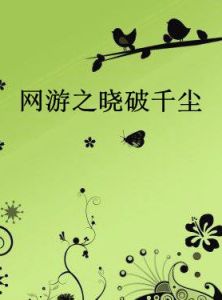 網遊之曉破千塵 網遊之曉破千塵