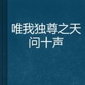 唯我獨尊之天問十聲 唯我獨尊之天問十聲