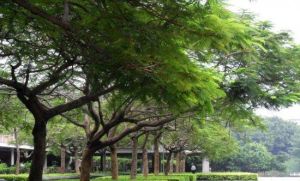 錦繡廣場 錦繡廣場