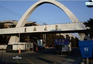 一成教育周末授課地點