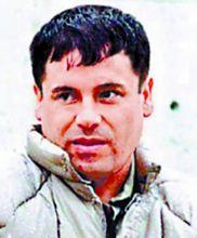 喬奎恩&middot;古茲曼