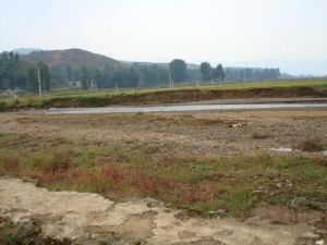 小河邊自然村 小河邊自然村