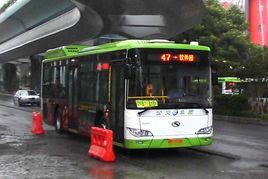 廈門47路 廈門47路