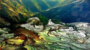 丹景山旅遊景區 丹景山旅遊景區