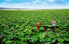 微山湖就是運河借湖行運的航道之一