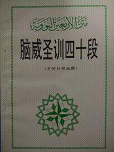 腦威聖訓四十段