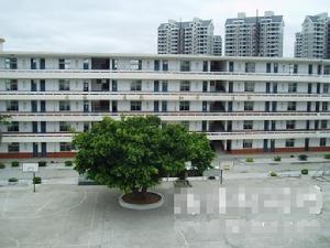 福清龍田初級中學 福清龍田初級中學