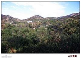 大光山村 大光山村