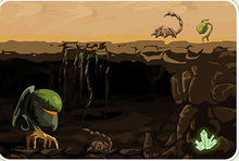 沙漠綠豆芽 沙漠綠豆芽