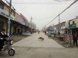 馬村[山東省菏澤市馬村集]