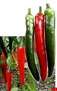 香辣仔雞(微辣) 香辣仔雞(微辣)