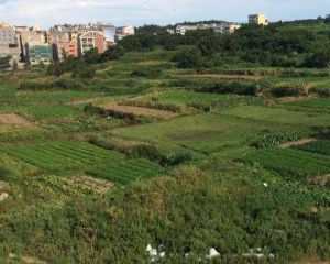 花園裡鄉 花園裡鄉