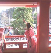 神女，岩田小百合