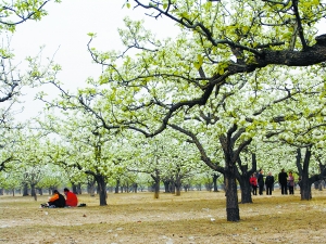 琉璃河鎮 琉璃河鎮