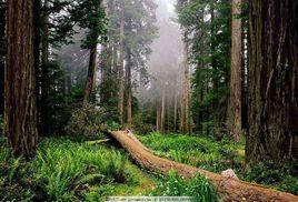 森林環境評價 森林環境評價