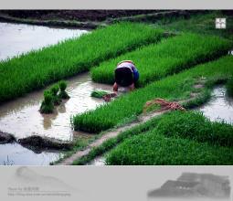 大地山村[雲南省昆明市宜良縣馬街鄉大地山村]