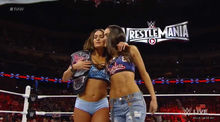 The Bella Twins