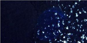 棕灘衛星航拍圖