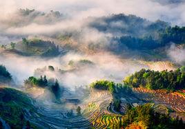 水車鎮[湖南省新化縣下轄鎮]