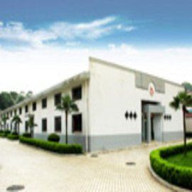 辰欣藥業股份有限公司 辰欣藥業股份有限公司