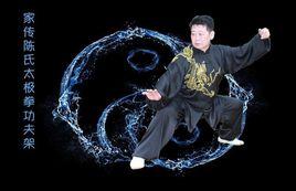 家傳陳氏太極拳功夫架 家傳陳氏太極拳功夫架