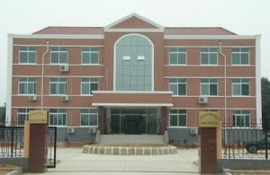 党家莊東村 党家莊東村