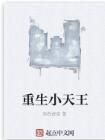 重生小天王 重生小天王