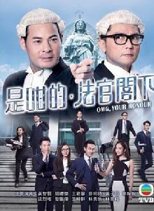 是咁的,法官閣下 是咁的,法官閣下