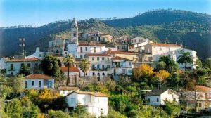 塞波加大公國 塞波加大公國