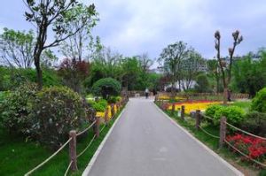 風景路社區 風景路社區