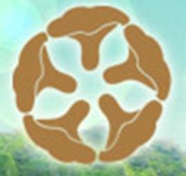 黑龍江省食用菌協會 黑龍江省食用菌協會