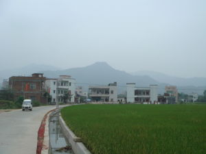 圳口村
