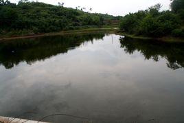 花橋村[湖南省衡陽市衡南縣雲集鎮花橋村]