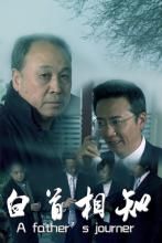 白首相知 白首相知