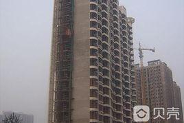 金島金橋壹號 金島金橋壹號