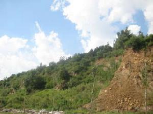 華業玫瑰谷一期 華業玫瑰谷一期