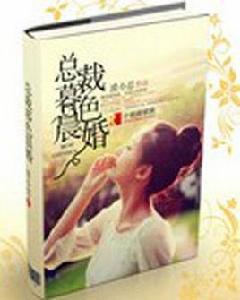 總裁暮色晨婚 總裁暮色晨婚