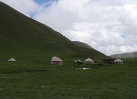 農十四師一牧場 農十四師一牧場