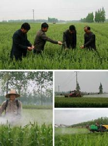 南通農場 南通農場