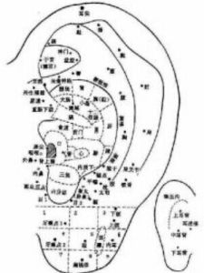 耳穴 耳穴