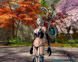 龍之心OL 龍之心OL