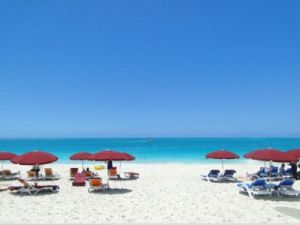 特克斯和凱科斯 特克斯和凱科斯