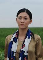 故鄉的風[根據小說改編的電視劇]