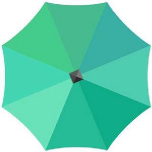 小綠傘 小綠傘