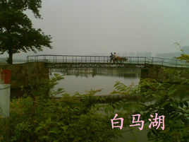 白馬湖[浙江省杭州市白馬湖]